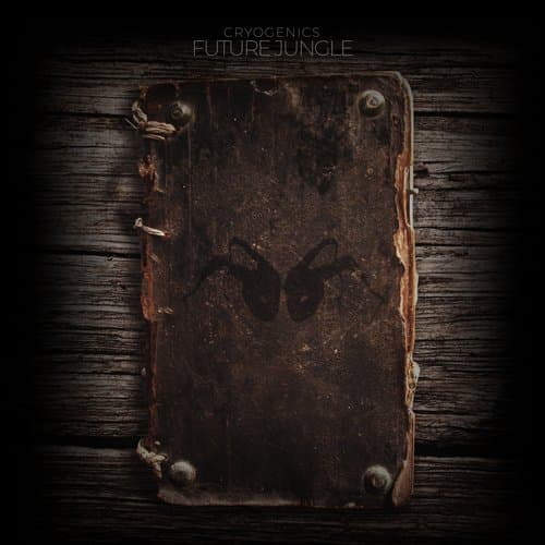 Thru Your Jungle Eyes (Window Of Chalk Instrumental)