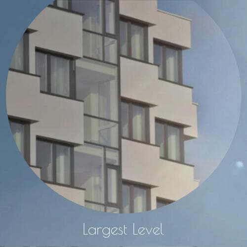 Largest Level