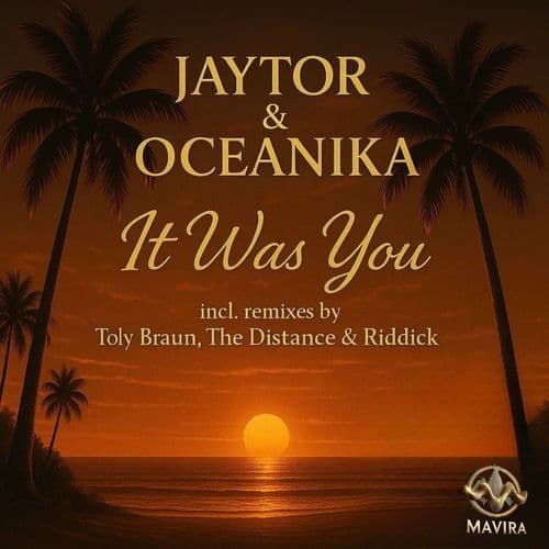 It Was You (Toly Braun Remix)