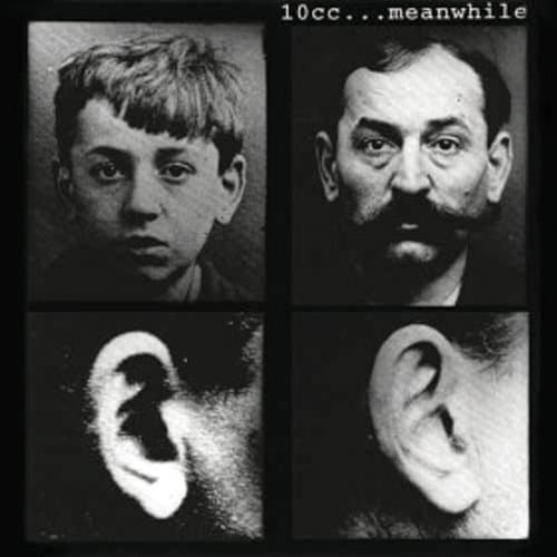 Shine A Light In The Dark