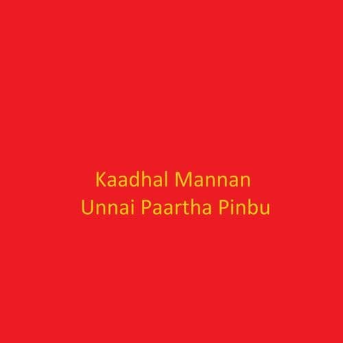 Unnai Paartha Pinbu