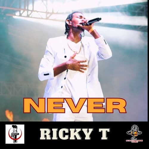 Never (Radio Edit)