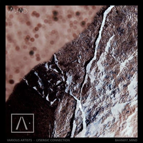 Retorn (Original Mix)