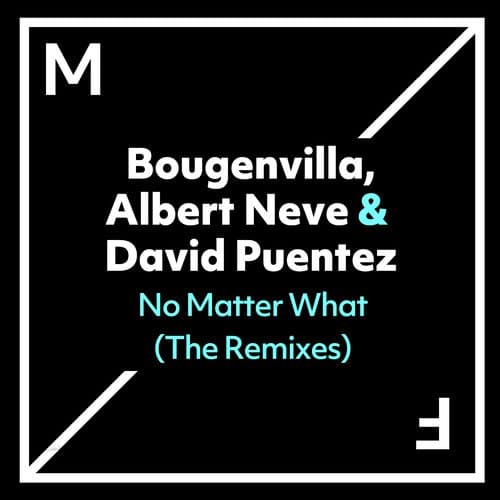 No Matter What (VIP Mix)