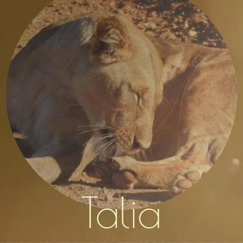 Talia
