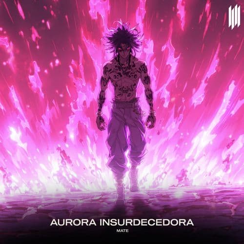 AURORA INSURDECEDORA