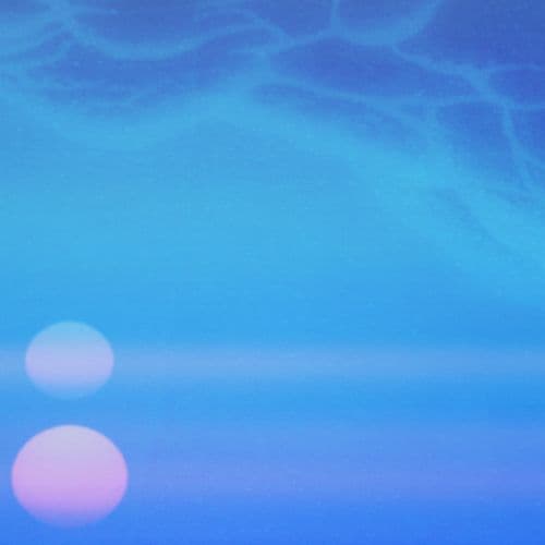 Dragons In Their Various Guises