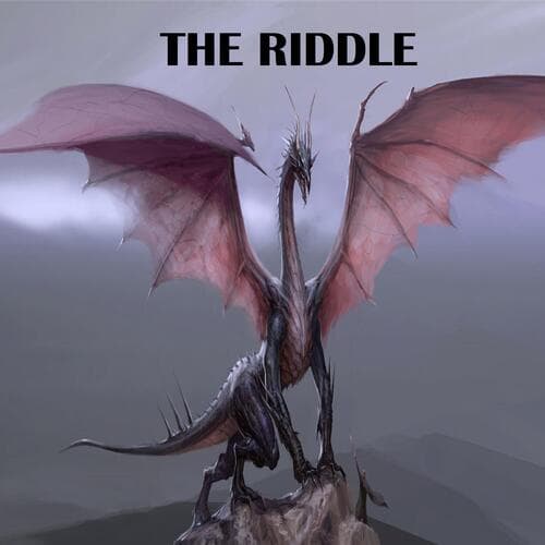 The Riddle