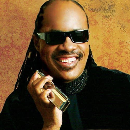 Stevie Wonder