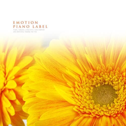 Autumn Under The Moonlight