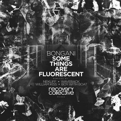 Some Things Are Fluorescent (Nekliff Remix)