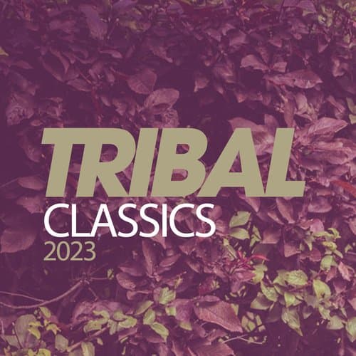 Timbailando (Tribal Mix)