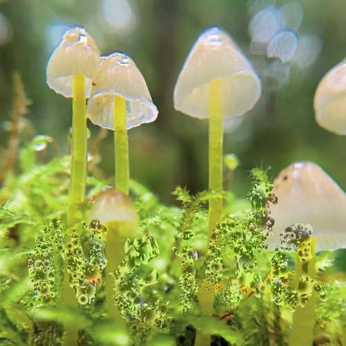 For all the time sake (Original)