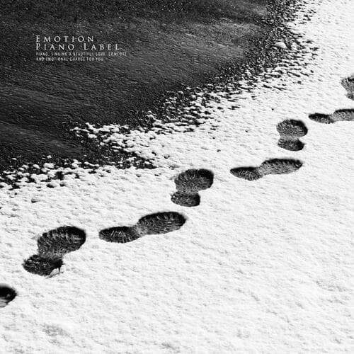 The bench in the park