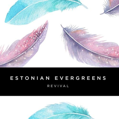 Anyone Other Than You