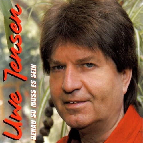 Genau so muss es sein (Instrumental)