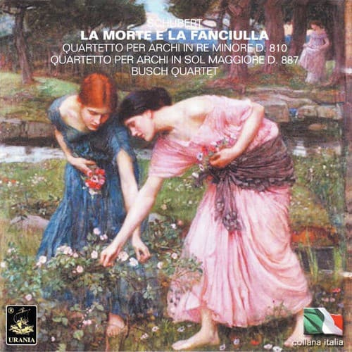 String Quartet in D Minor, D. 810 - "Der Tod und das Mädchen": I. Allegro