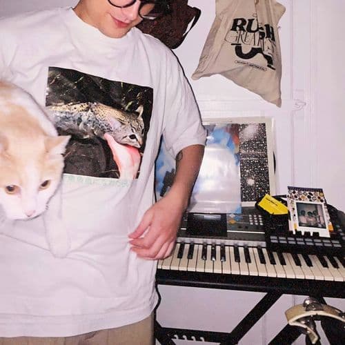 to stumble (upon confusion)