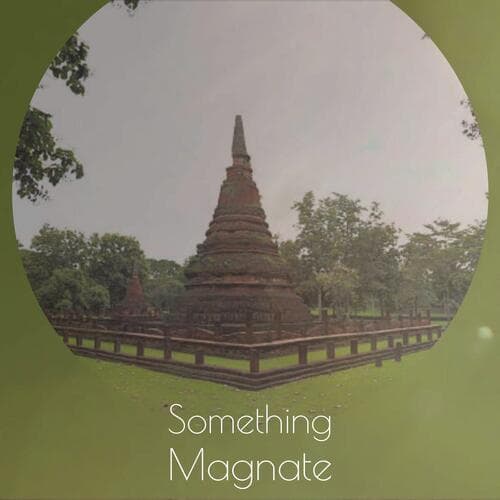 Something Magnate