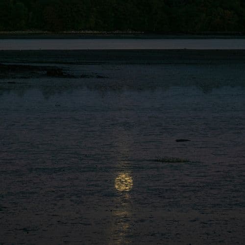 荒城の月 - 高音質ハーモニカ&ピアノ