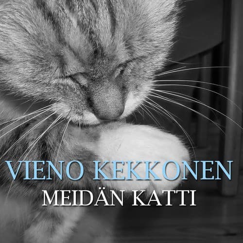 Meidän Katti