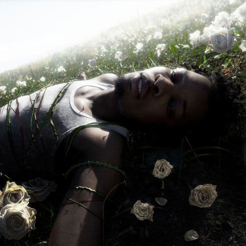 Somewhere In The Middle