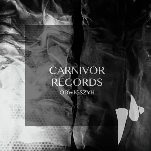 Internal Motion (Original Mix)