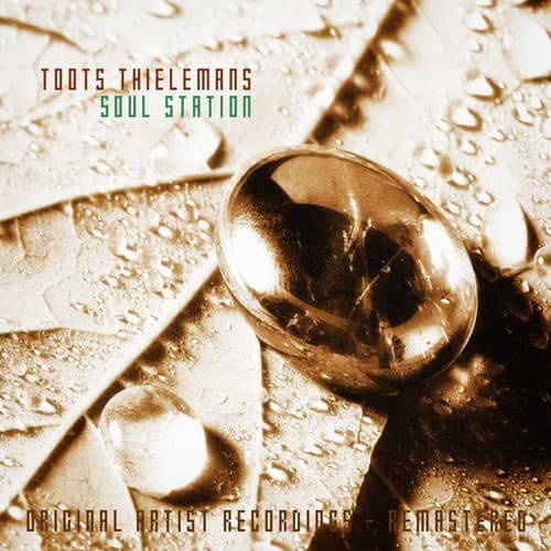 Stars Fell on Alabama