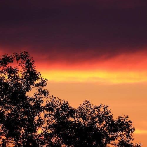 叱られて - 高音質ハーモニカ&ピアノ