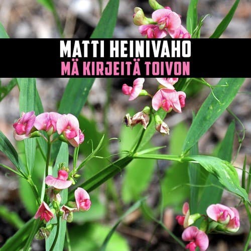 Mä Kirjeitä Toivon