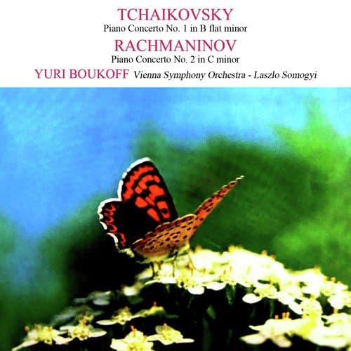 Piano Concerto No. 1 in B Flat Minor, Op. 23: I. Allegro non troppo e molto maestoso/ Allegro con spirito