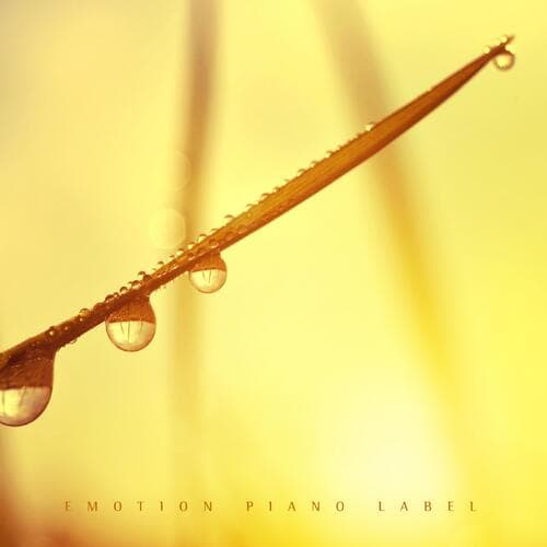 Sunshine Of The Blue Day (Nature Ver.)