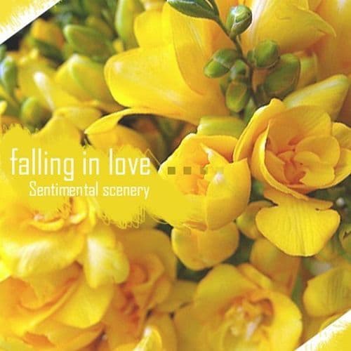 Falling In Love (Need More Love Mix Version)