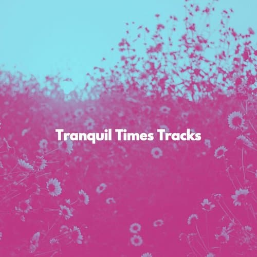 Calm Ambience for Long Day Relaxation