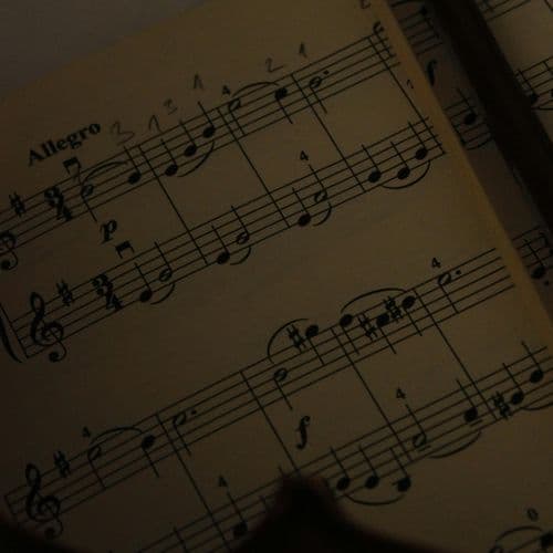 シューマンのアダージョとアレグロ - 高音質ハーモニカ&ピアノ