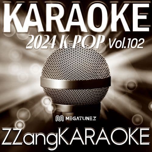 Stranger (입술) (By Heize(헤이즈)) (Melody Karaoke Version)