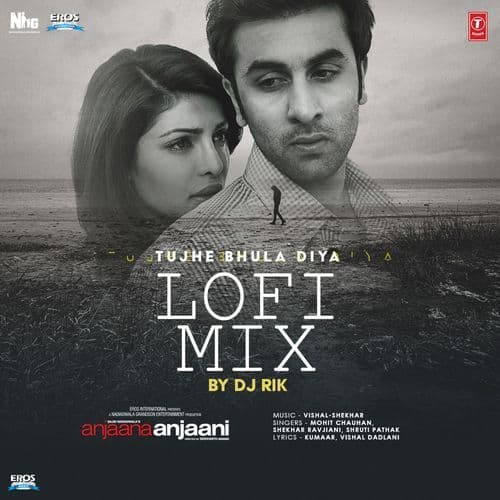 Tujhe Bhula Diya Lofi Mix(Remix By Dj Rik)