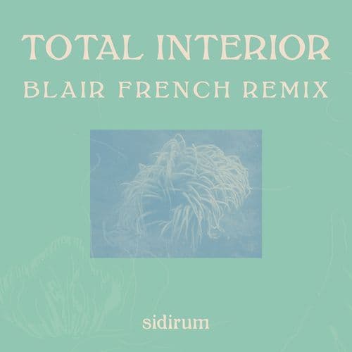 Total Interior (Blair French Remix)