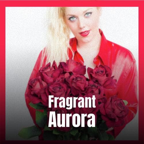 Commonwealth Highways