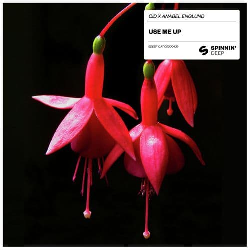 Use Me Up (Extended Mix)