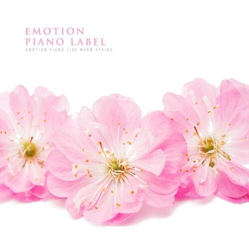 Afternoon In Namsan Park