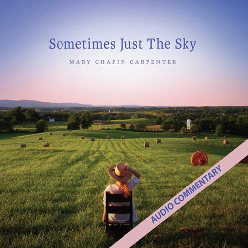 This Shirt (Commentary)