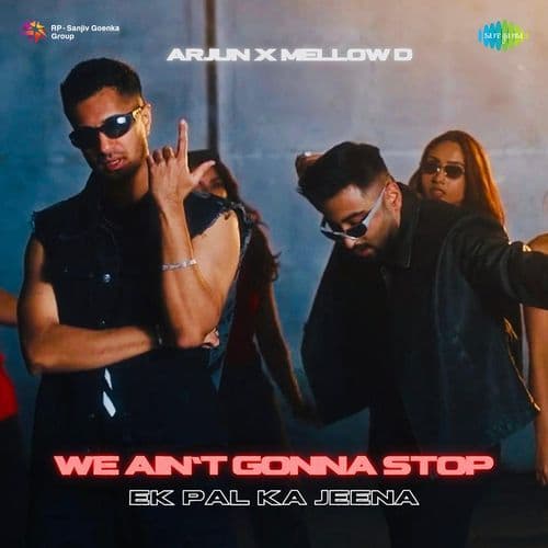 We Ain't Gonna Stop (Ek Pal Ka Jeena )