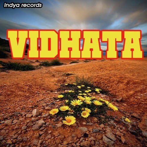 Vidhata