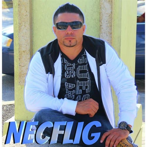 No Voy a Volver Con Tigo