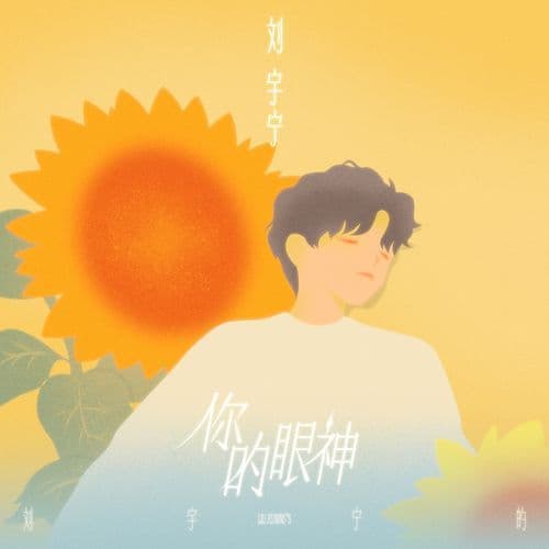 你的眼神 (伴奏版)