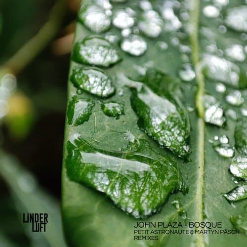 Bosque (Original Mix)