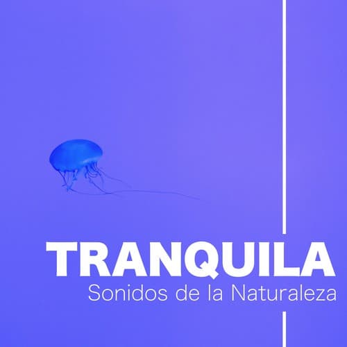 Música para Estudiar Relajante