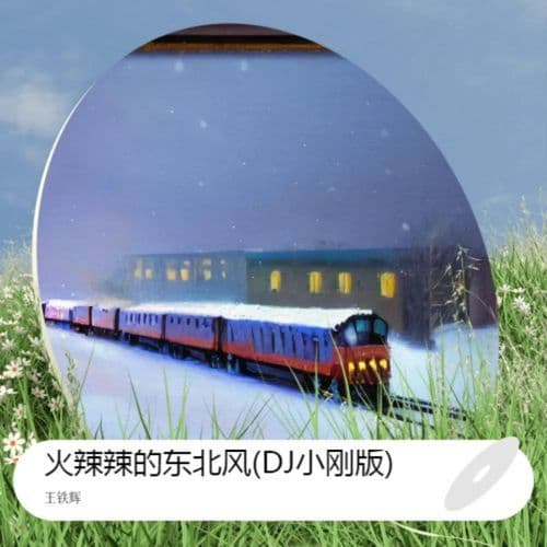 火辣辣的东北风 (DJ小刚版伴奏)