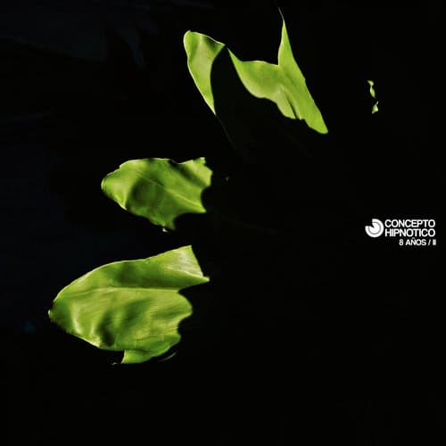 First Stage (Original Mix)